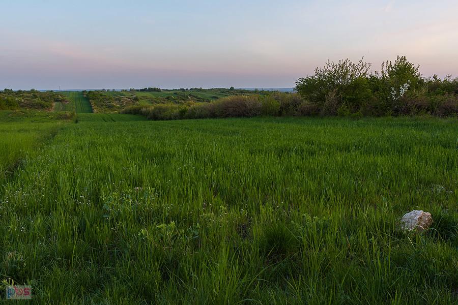 Przybynów - widok w kierunku Wysokiej Lelowskiej