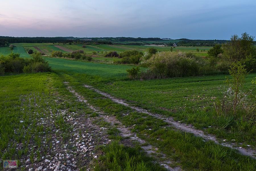 Pomiędzy Przybynowem a Jaroszowem