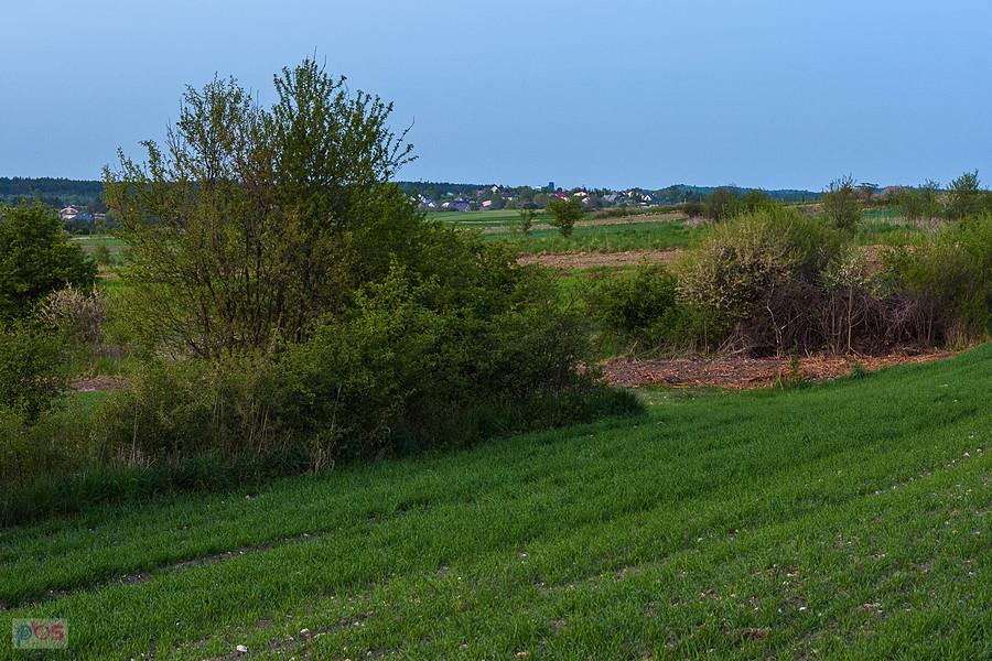 Pomiędzy Przybynowem a Jaroszowem - widok w kierunku Jaroszowa