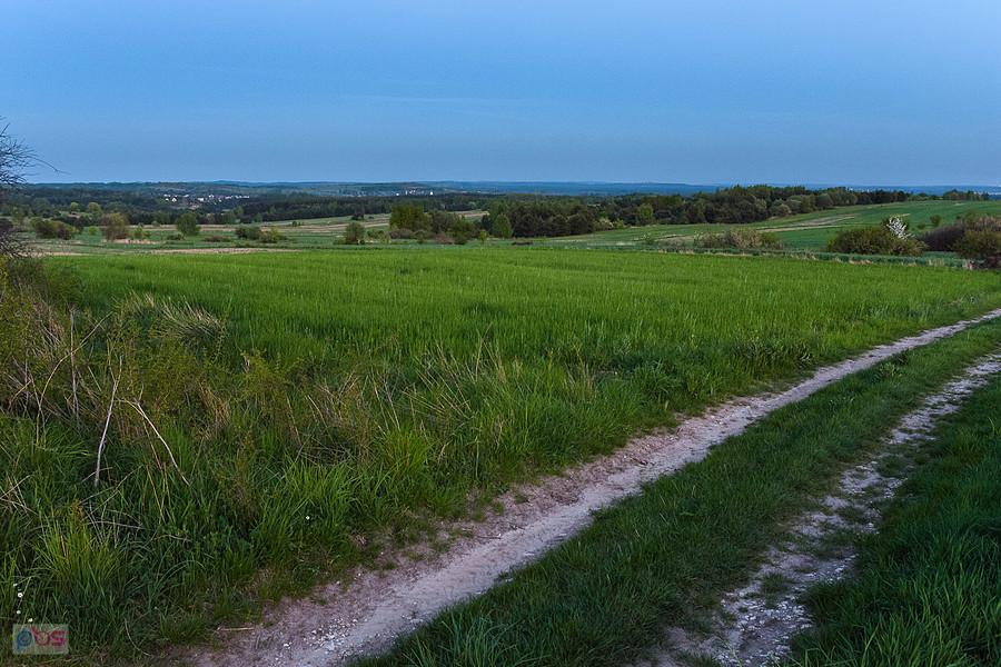 Pomiędzy Przybynowem a Jaroszowem