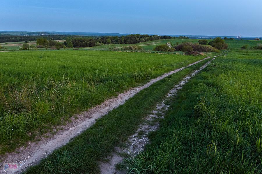 Pomiędzy Przybynowem a Jaroszowem