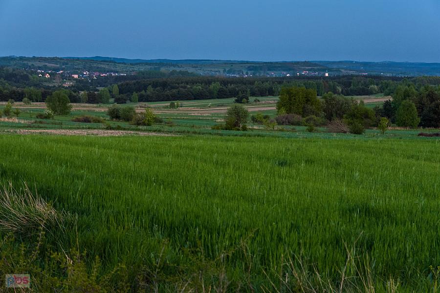 Pomiędzy Przybynowem a Jaroszowem - widok w kierunku Żarek