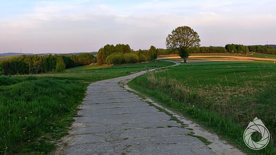 na podwieczornych łąkach