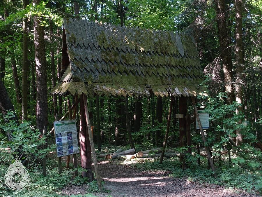 drzwi do lasu istnieją i są w Nadleśnictwie Strzyżów