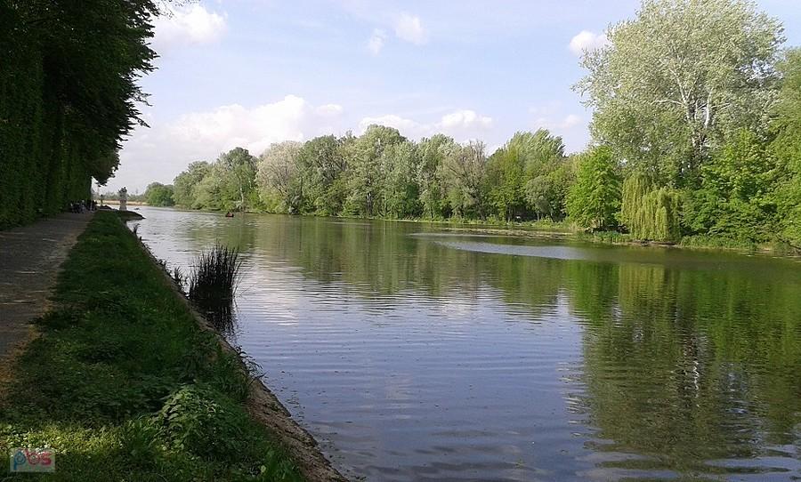 Jezioro Wilanowskie