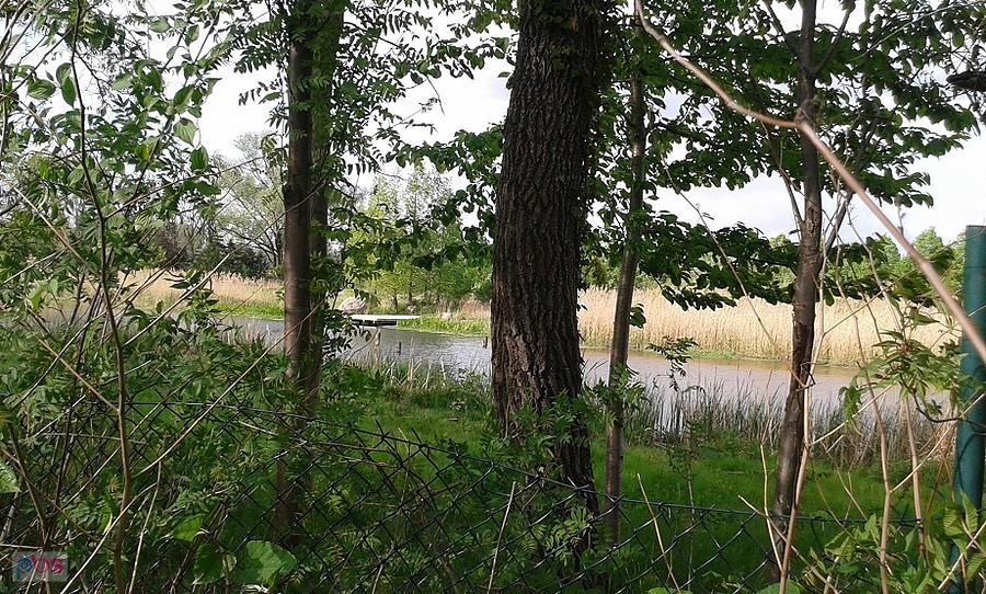 Jezioro Powsinkowskie- odseparowana część środkowa, zagrodzona niestety siatką.