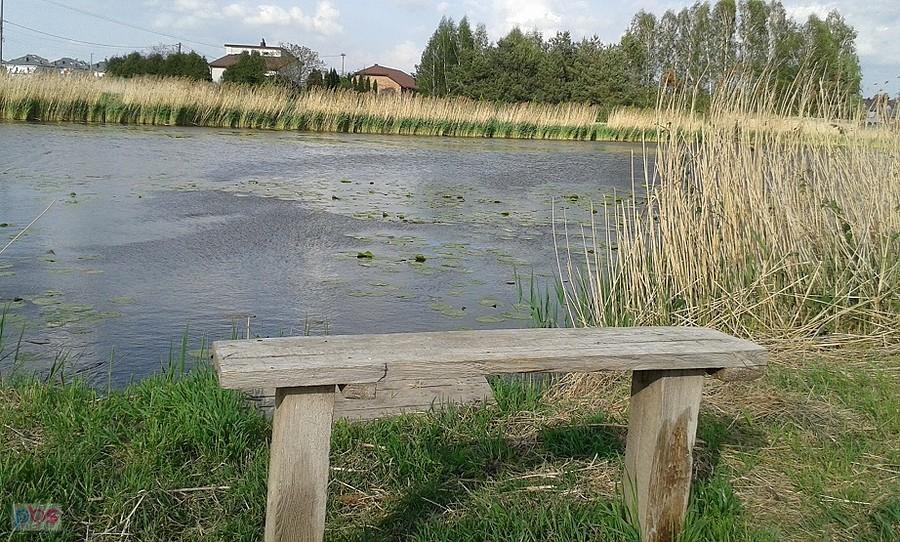 Jezioro Lisowskie w Powsinie