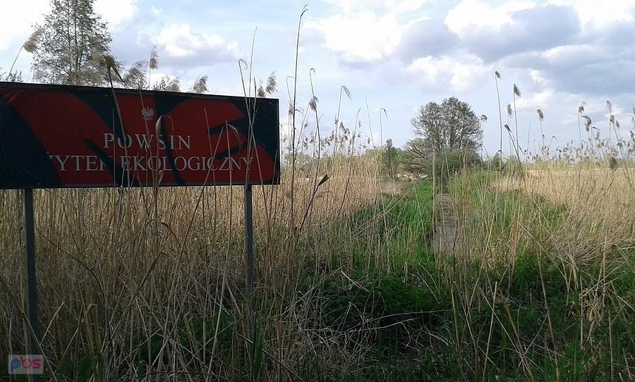 Dla entuzjastów ptaków, gadów, płazów a nade wszystko robactwa - teren marzenie do eksploracji
