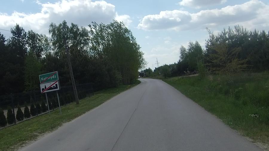 Skrzyżowanie kota z rydzem - Kotorydz! :)