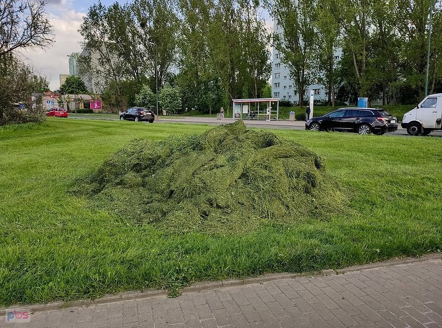 Sezon miejskiego rżnięcia rozpoczęty