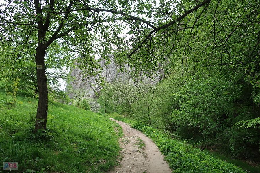 W Dolinie Bolechowickiej
