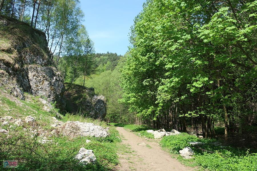 W Dolinie Kobylańskiej