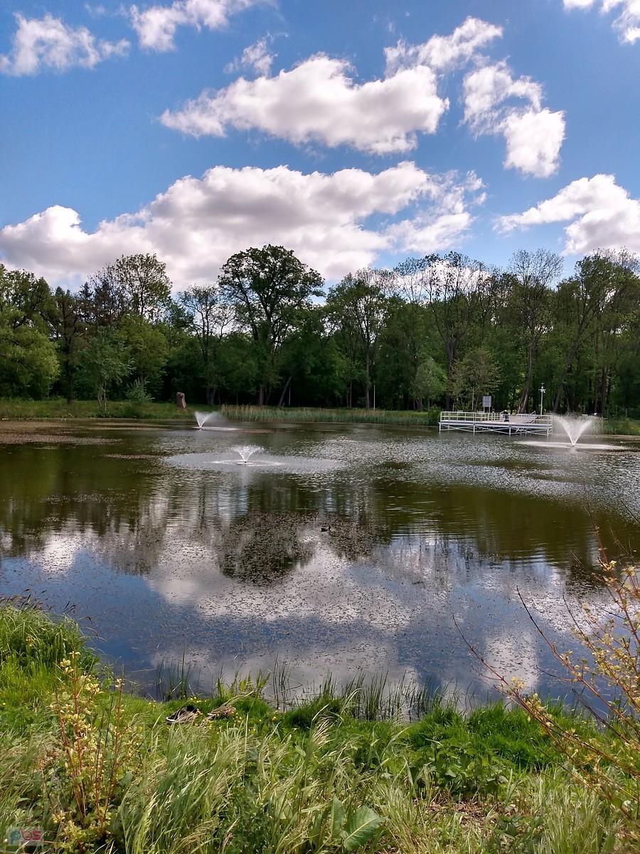 Staw w Ołtarzewie