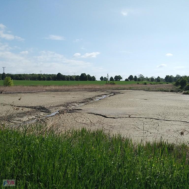 wyschnięty staw