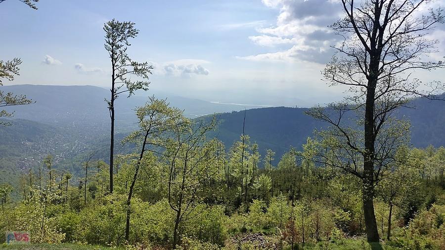 Widok z Szyndzielni