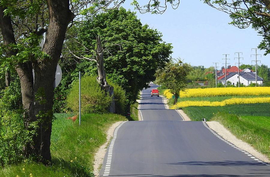 Rzepakowa wersja drogi Lusowo - Lusówko