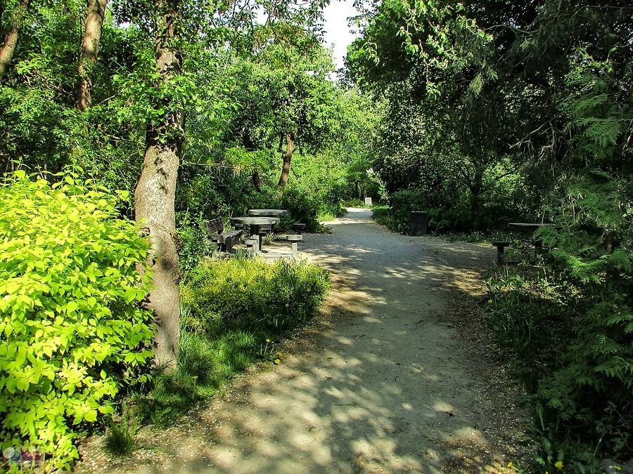 Park pod Kopą Cwila