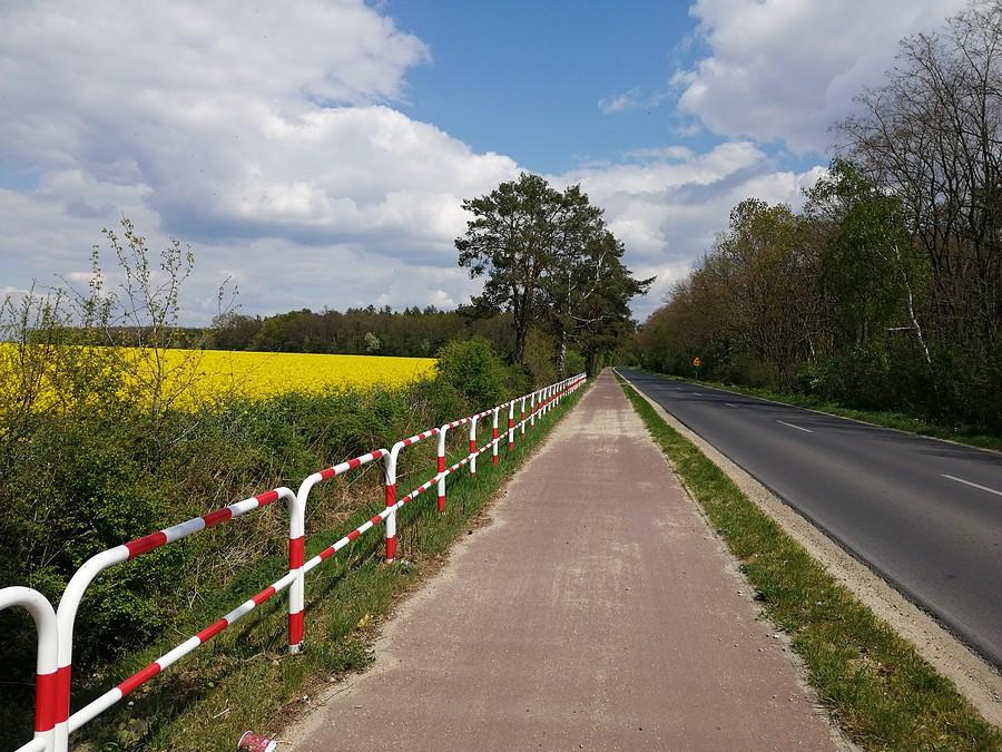 Ścieżka łącząca Golinę z Zakrzewem.