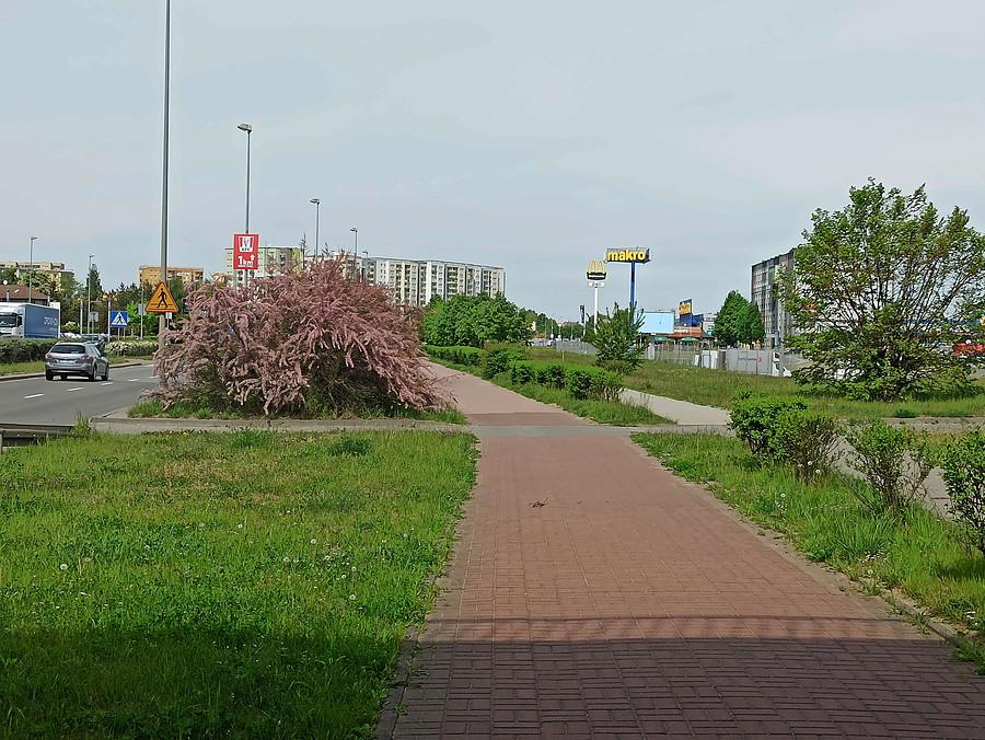 Na ulicy Południowej.