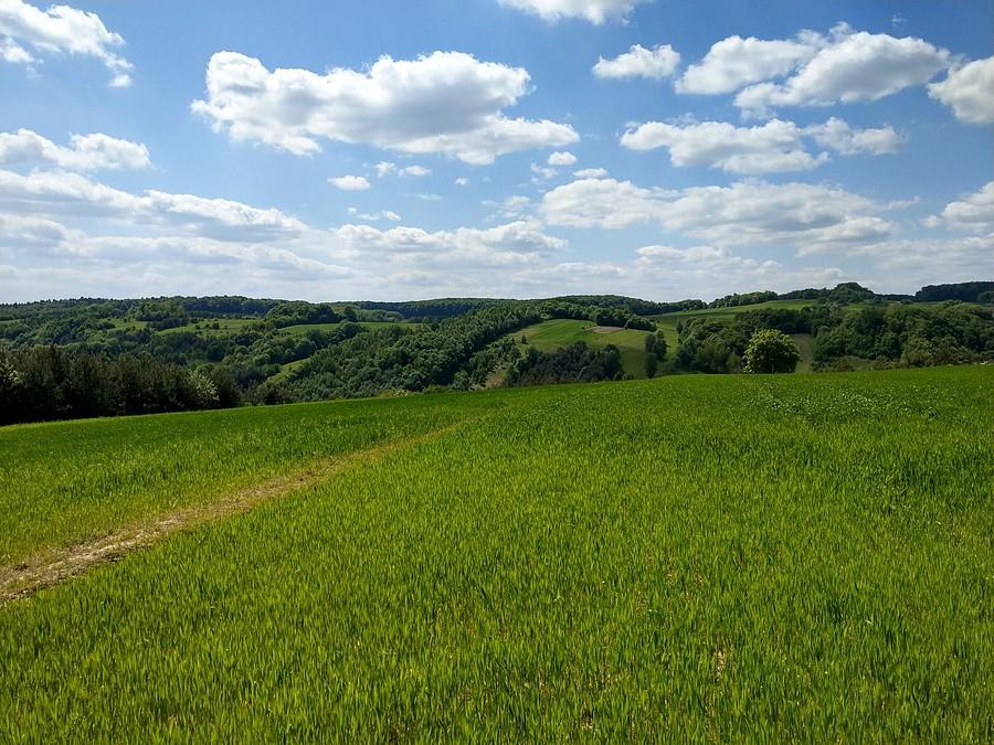 Widoczek po drodze