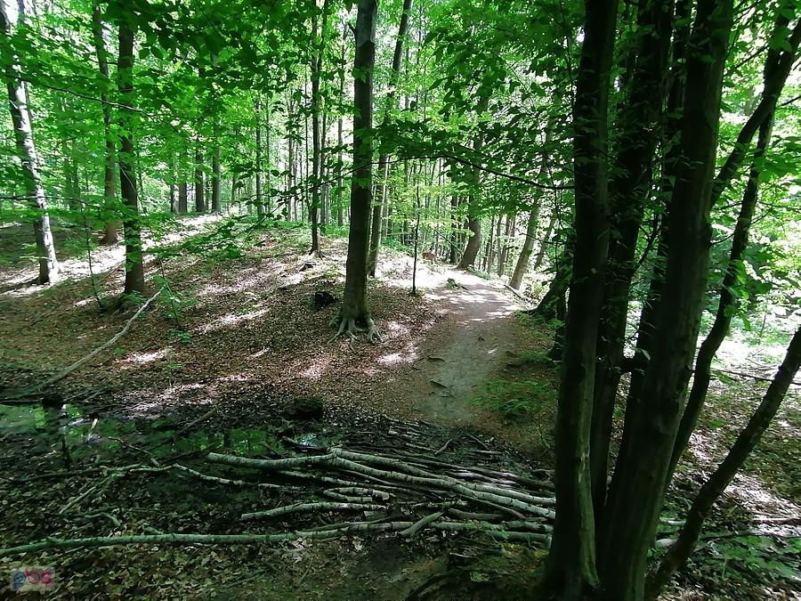 Pozbierane zabawki