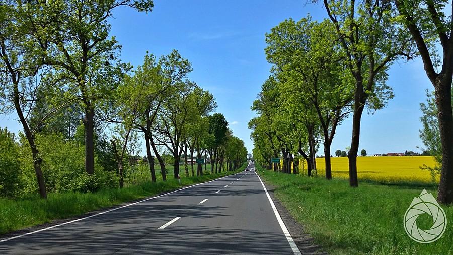 DW na Koszęcin