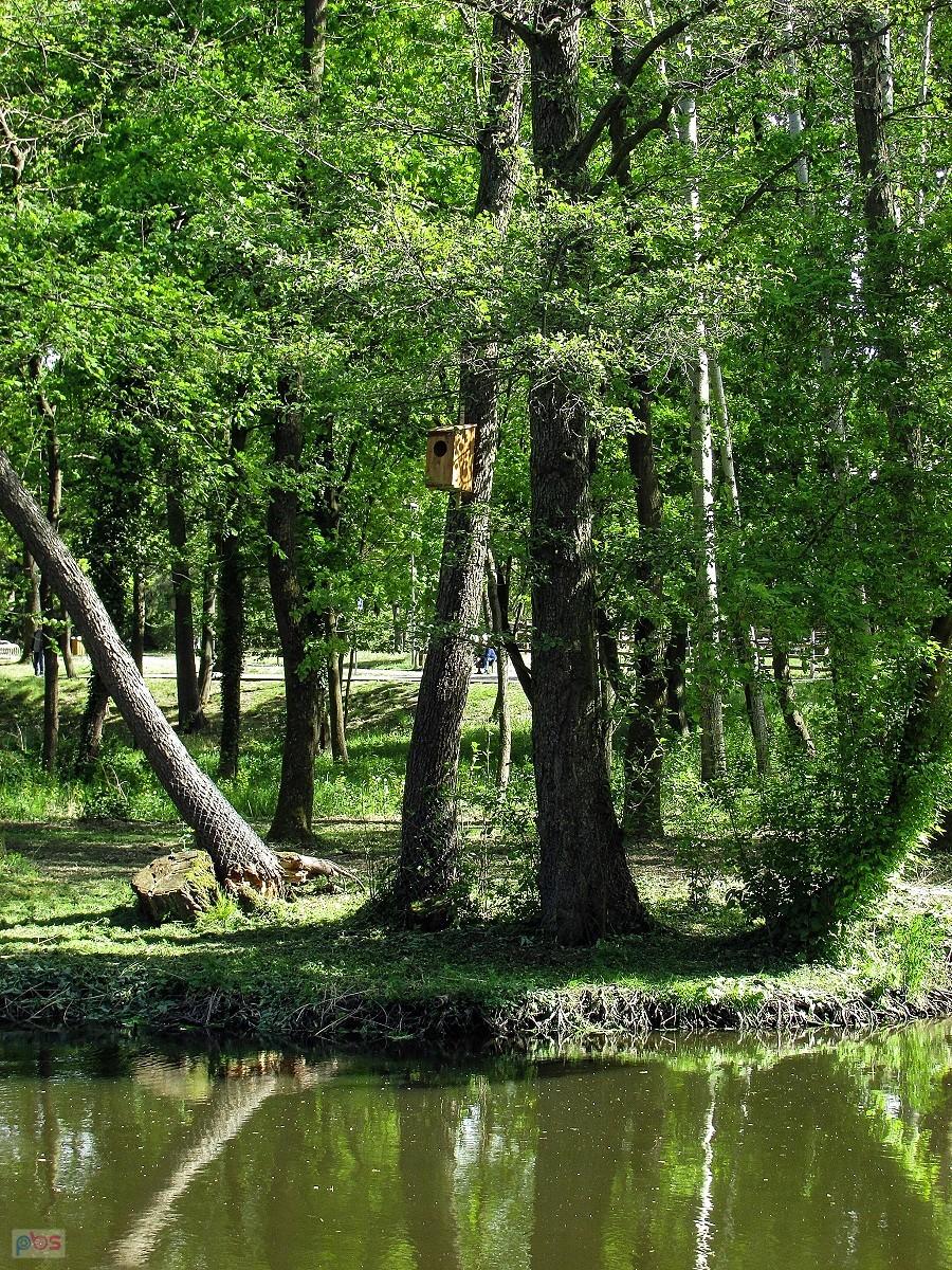 Budka lęgowa dla wodnych ptaków