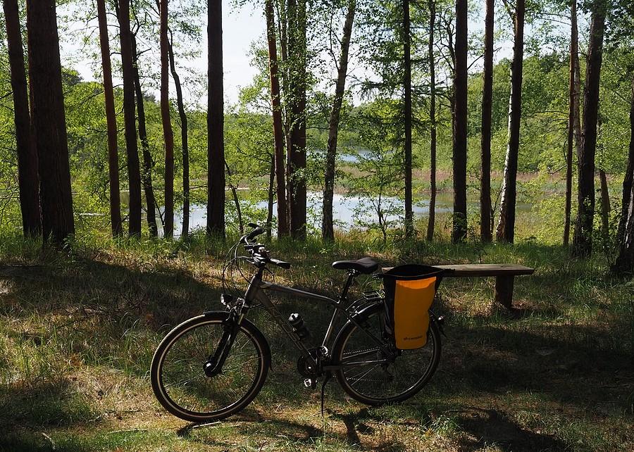 Widok na Jezioro Popienko