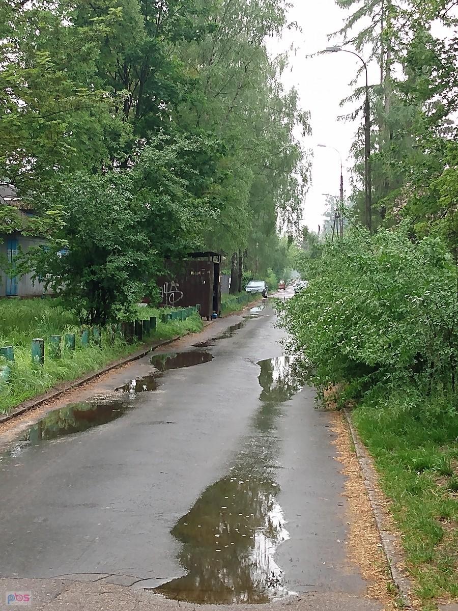 Mokro
