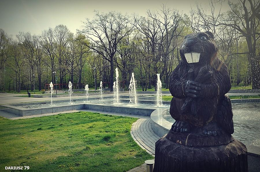 Dąbrowa Górnicza - Park Zielona