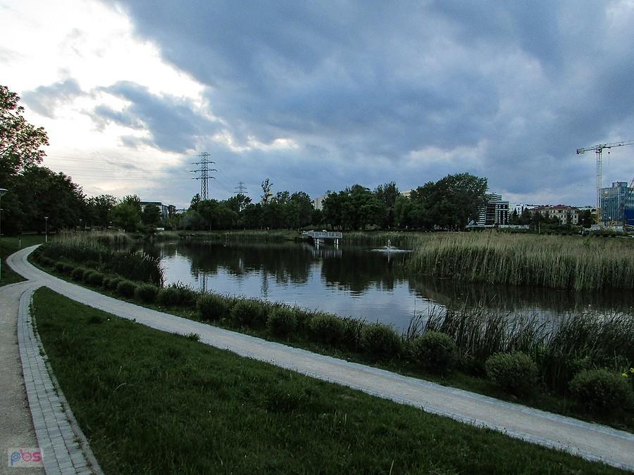 Staw Służewiecki
