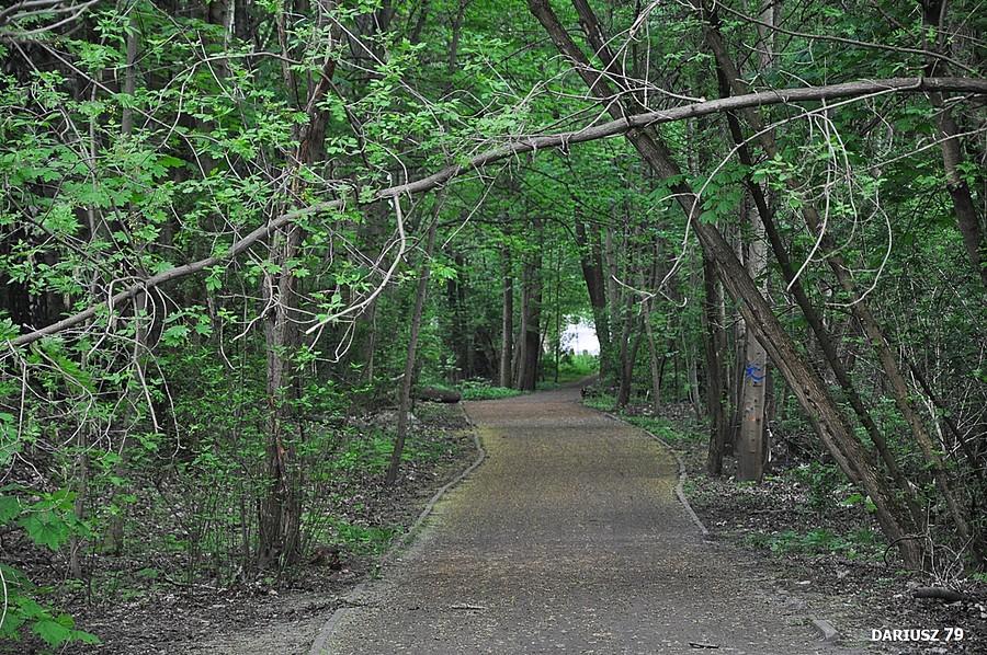 Park Pszczelnik - Siemianowice Śląskie