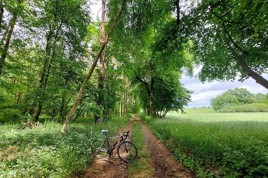 Szosowe mtb :)