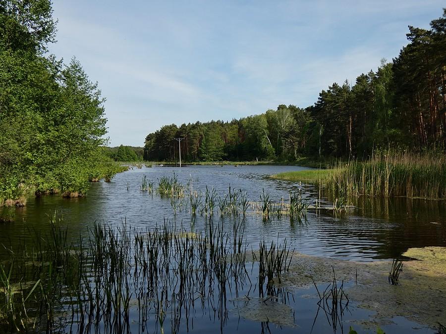 Bagna Biskupickie