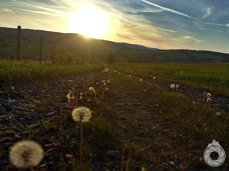 wieczór na Dile (takiej górce)