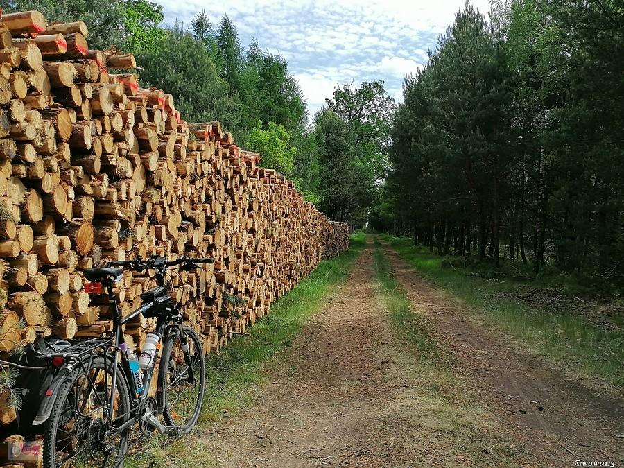 Obok Kamienia