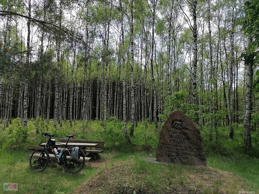 Kamień "Ostatni Niedźwiedź"