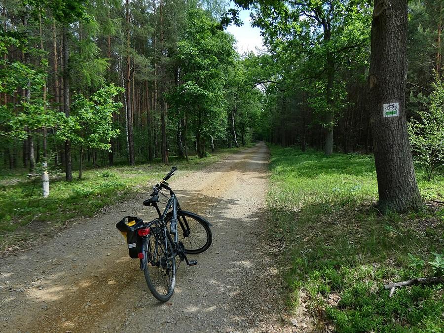Zielonym szlakiem jadę nad Ilankę
