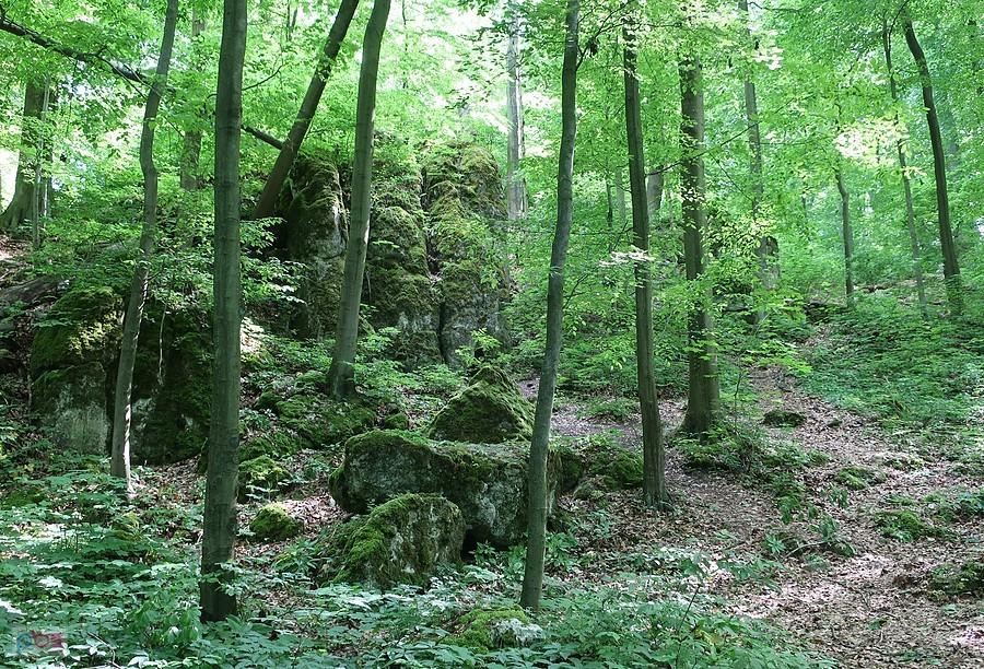 Skały w Złotym Potoku