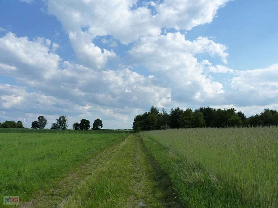 w drodze na Świbie