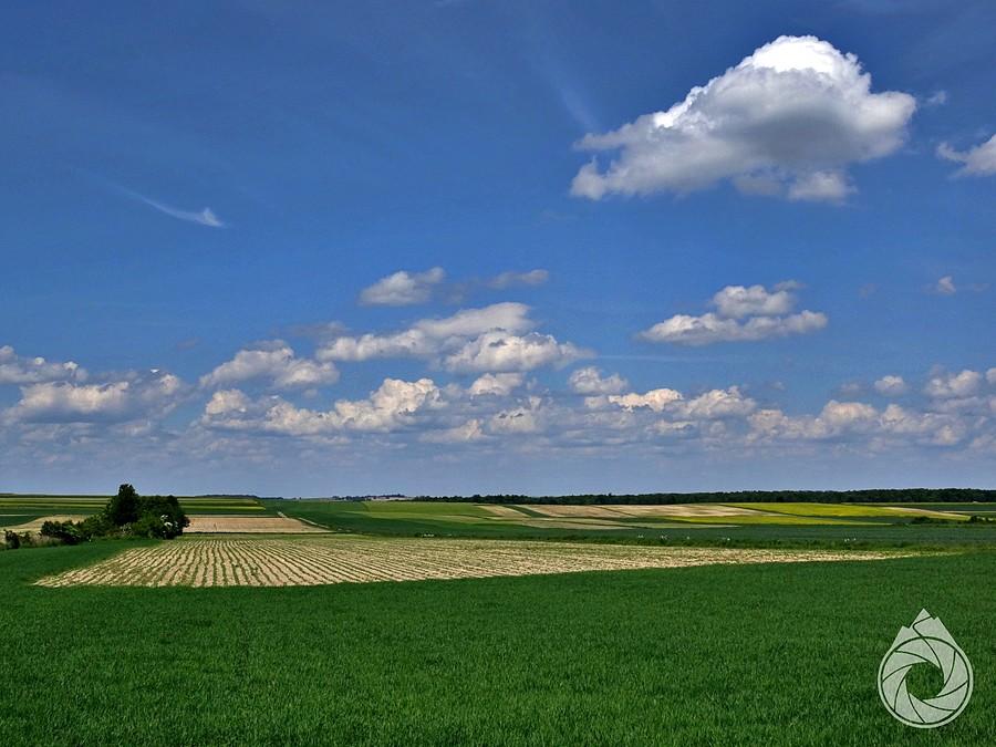 Roztoczańskie pola
