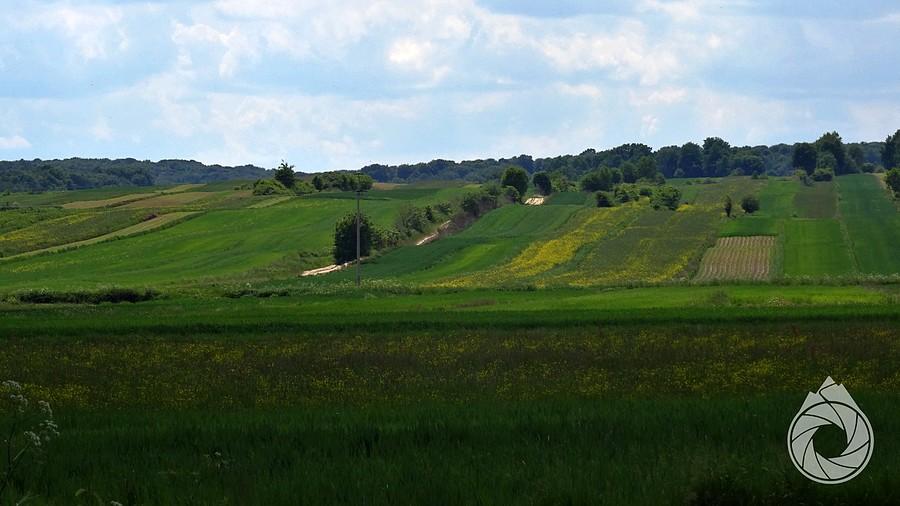 delikatne pofalowanie roztoczańskie