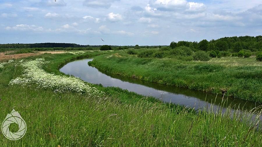 Kanał (to) Wieprz