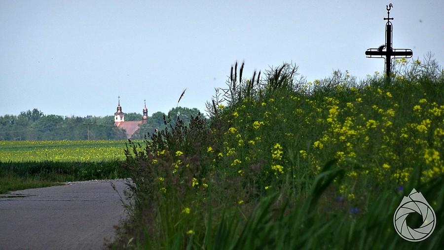 zza zakrętu wyglądają krzyże