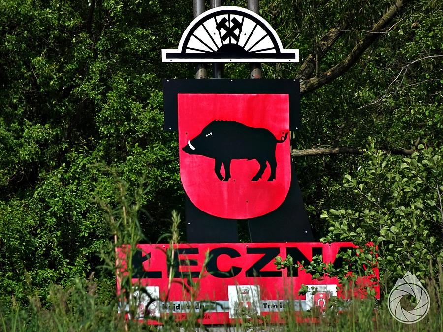 dzika i górnicza Łęczna