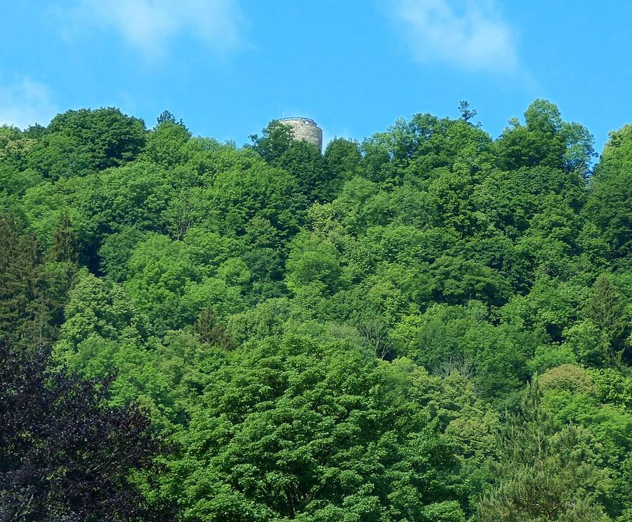 Na samej górze ruiny zamku we Wleniu