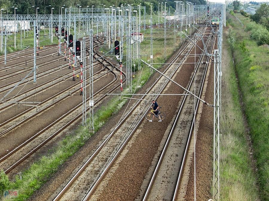 Żeby wejść na torowisko kolei radomskiej trzeba sforsować kilka ogrodzeń - jemu się udało