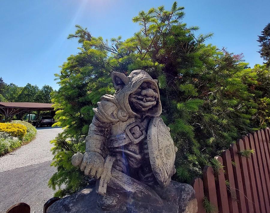 Janowicki znajomy troll