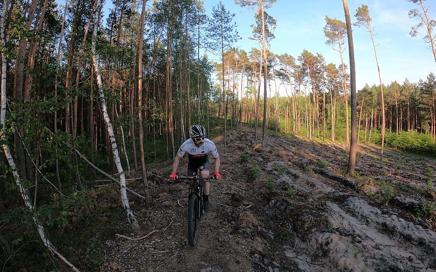 Trasa znajduje się na terenie Nadleśnictwa Babki