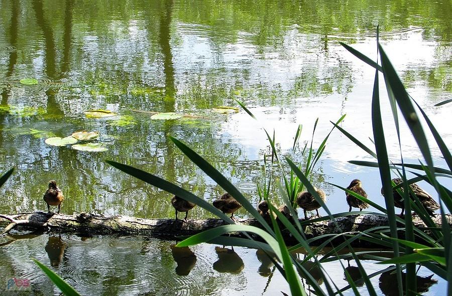 Rodzinka się suszy po kąpieli